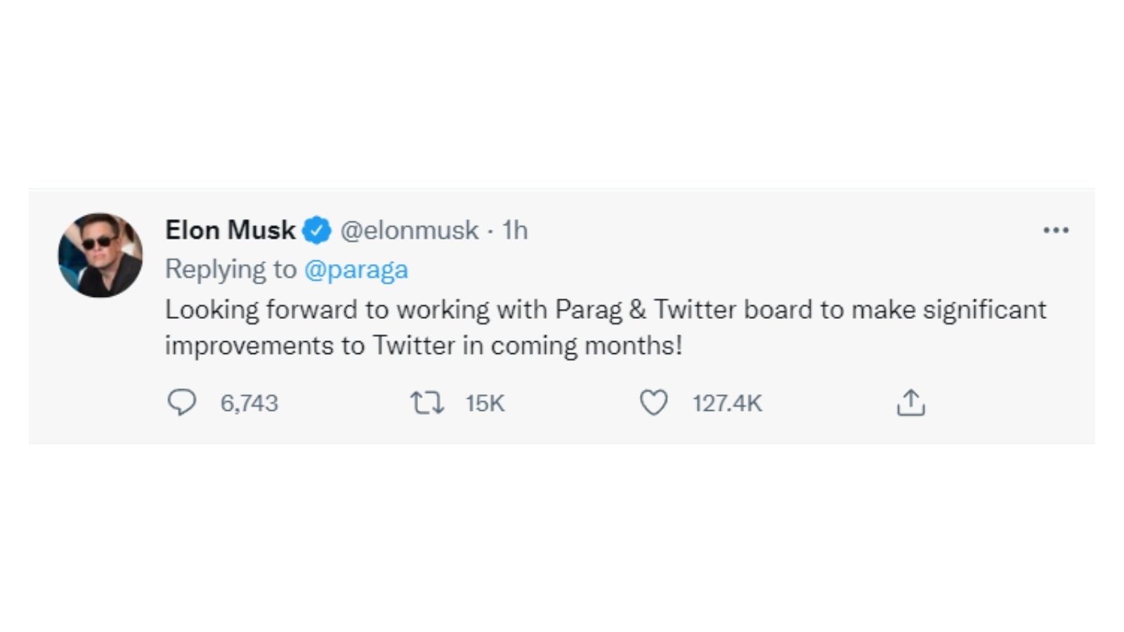 musk buys twitter